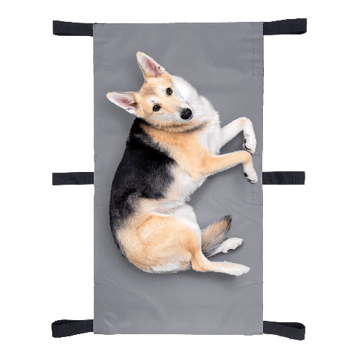 [CPM012075] *CAMILLA PORTATIL PARA MASCOTAS SIMBA 1,20 mts x 0,75 mts Reforzada 110 kilos